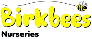 Birkbees Logo